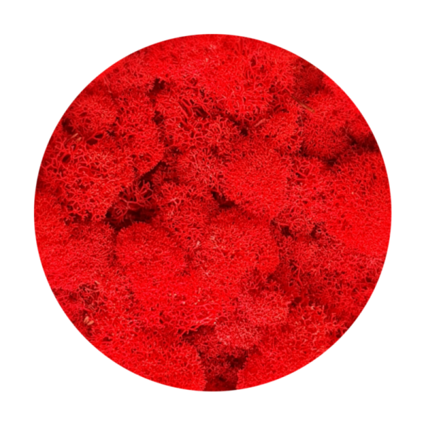 Purified Reindeer Moss Red 2 kg FINNISH